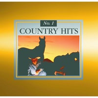 Slow Burn (Re-Recording)