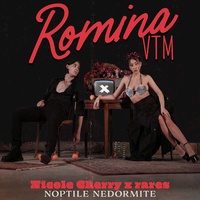 Nopțile nedormite - From "Romina VTM" The Movie