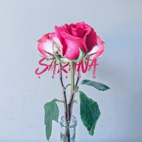 Цветы (Original Mix)