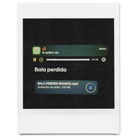 Bala Perdida