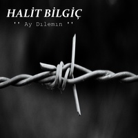 Ay Dılemın