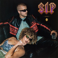 SIP - TikTok Snippet 1