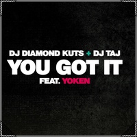 You Got It - Dj Taj Remix