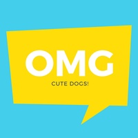 OMG Cute Dogs!