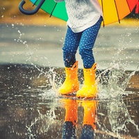 雨后花园