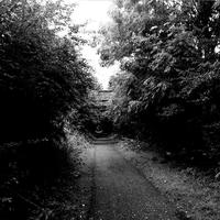 Echolocation