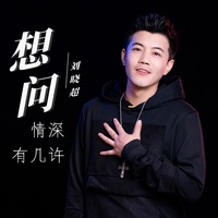想问情深有几许 - 恰恰版