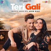 TERI GALI