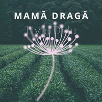 Mama Draga