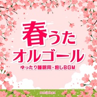 SAKURA (Music Box Cover)