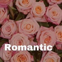 Fantastic & Inspiring Grand Hybrid BGM(181839)