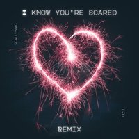 I Know You're Scared (Remix) (feat. Scallywag van Rooyen) - Remix