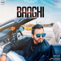 Baaghi