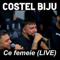Ce femeie - Live