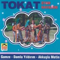 Menşur