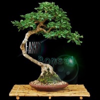 Bonsai