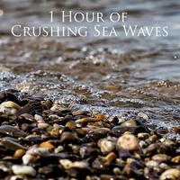 Water Sounds