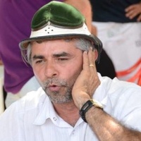 Cheiro da Casca da Madeira