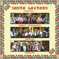 Da-I bice ca trage calul