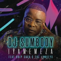Iyamemeza (Radio Edit) (feat. Drip Gogo & The Lowkeys)