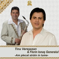 Am Plecat Strain In Lume - Au, Au Strainatate