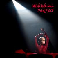 Mincinosul Perfect