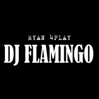 Dj Flamingo