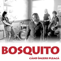Cand Ingerii Pleaca - Album Version