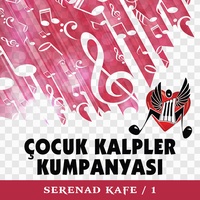 Böyledir Bizim Sevdamız
