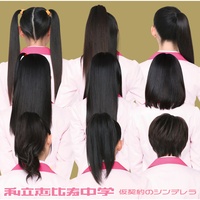 Karikeiyaku No Cinderella