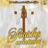 Señor Me Has Mirado A Los Ojos