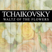 Waltz of the Flowers - The Nutcracker
