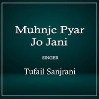 Mela Murshid Ja Thae