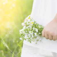 Spring Flower