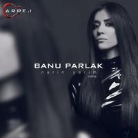 Narin Yarim - Remix