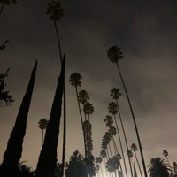 I Only Have Eyes for You