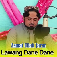 Za Shaheed Yama
