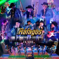 Que Salte, Que Baile, Que Grite, Que Goce (Live)