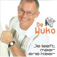 De Ijsbeer
