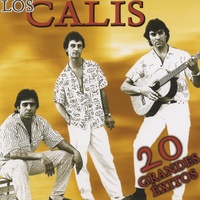 Una paloma blanca