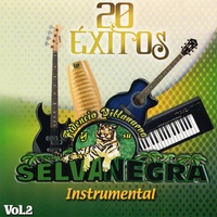 La Zorra Salvaje