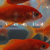 Cornfiield Chase-原野追逐