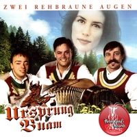 Steh'n ma alle auf (Hüttenmix)
