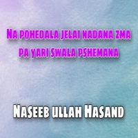 Na pohedala jelai nadana zma pa yari swala pshemana