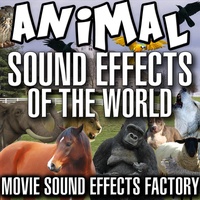 Sound image