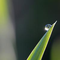 Nobody Move Theres Blood on the Floor (Sped)