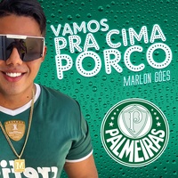 VAMOS PRA CIMA PORCO PALMEIRAS