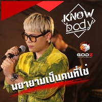 พยายามเป็นคนที่ใช่