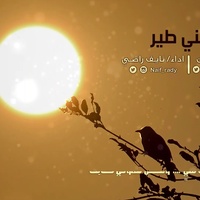 هضني طير