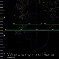 Where is my mind  [Cover] - Instrumental
